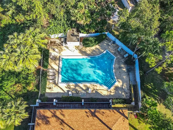 Aerial view of the community pool surrounded by trees